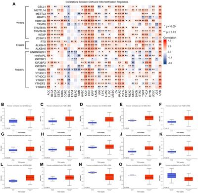 Gelsolin: A comprehensive pan-cancer analysis of potential prognosis, diagnostic, and immune biomarkers